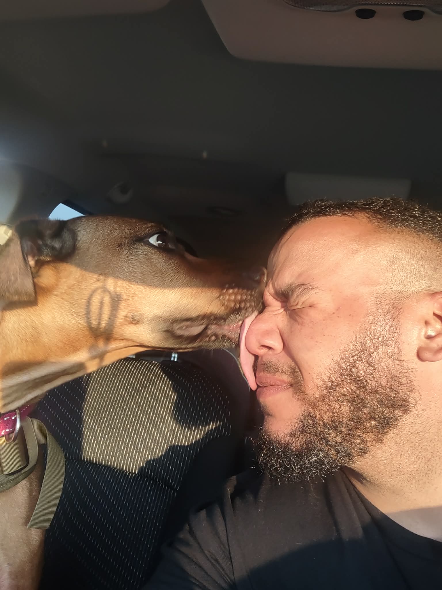 Jordan Hull and Artemis