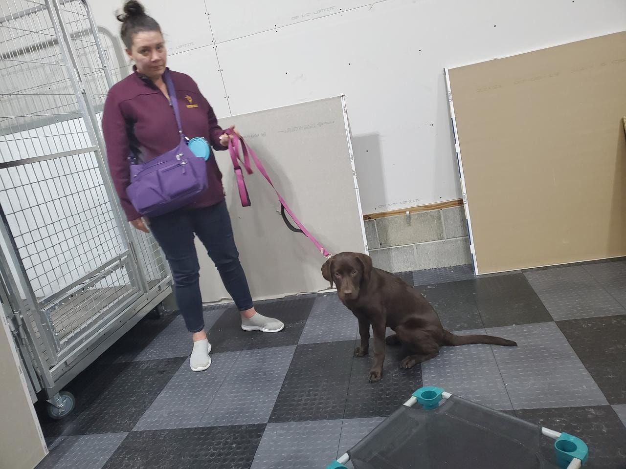 K9JF training session